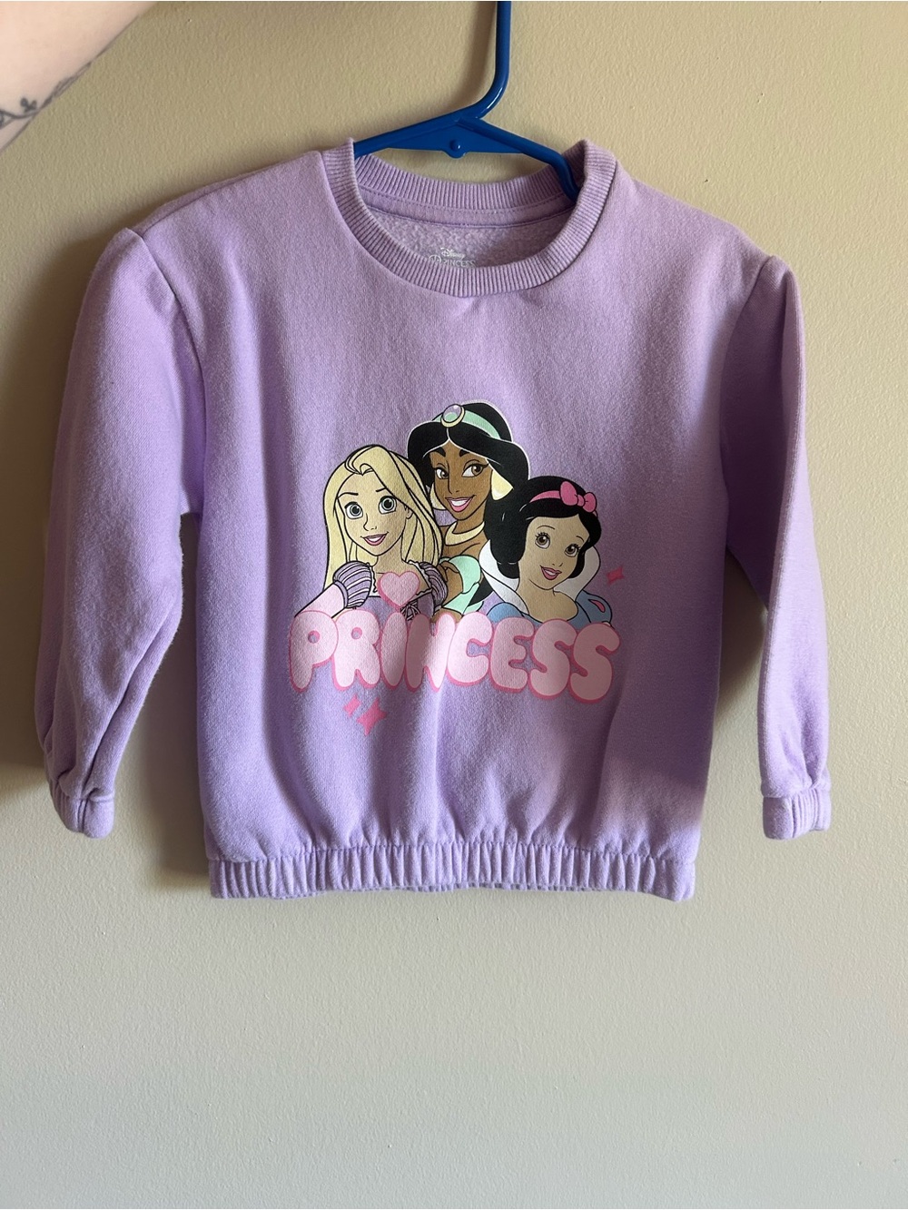 Disney Princess Crewneck.